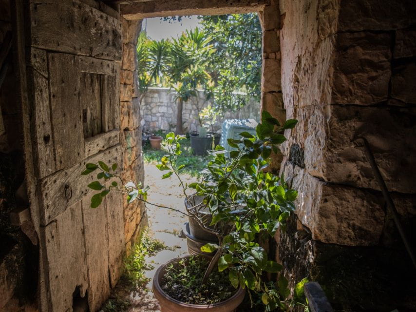 Locorotondo: Guided E-bike Tour with Olive Oil Tasting - The Sum Up