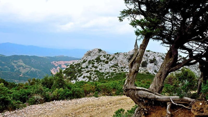 Lodè: trekking on Montalbo - Reaching the Peaks: Ferulargiu and Corru de sa Mandra