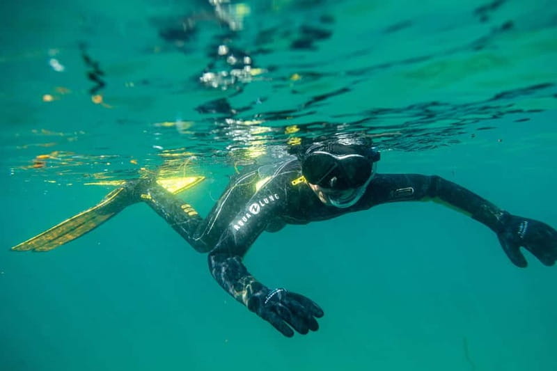 Lofoten: Family Snorkeling Tour - Who Will Love This Tour?