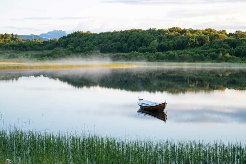 Lofoten: Half-Day Guided Tour with Photo Stops - Exploring the Heart of Lofoten in Half a Day