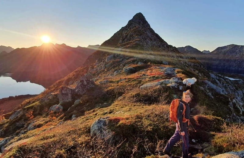 Lofoten Islands: Guided Hiking Into the Wilderness-Easy Tour - Why Consider This Tour?