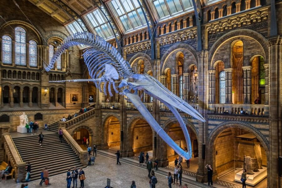 London: Guided Tour of the Natural History Museum - FAQ: Your Practical Questions Answered