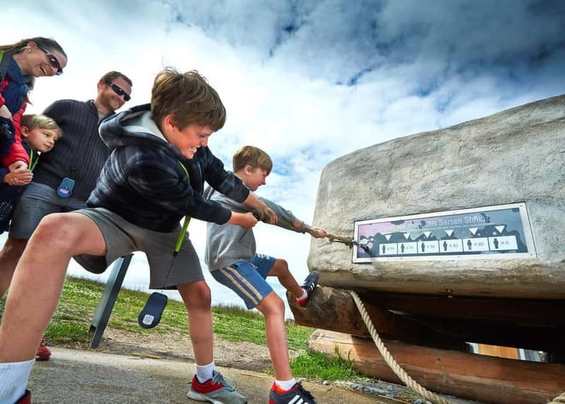 London: Stonehenge Morning or Afternoon Tour Optional Lunch - The Experience: What to Expect from Start to Finish