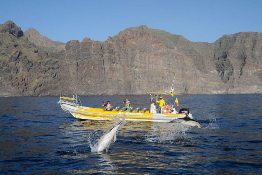 Los Gigantes: Dolphin and Whale Watching Cruise by Speedboat - Discovering Tenerife’s Marine Life: An In-Depth Review