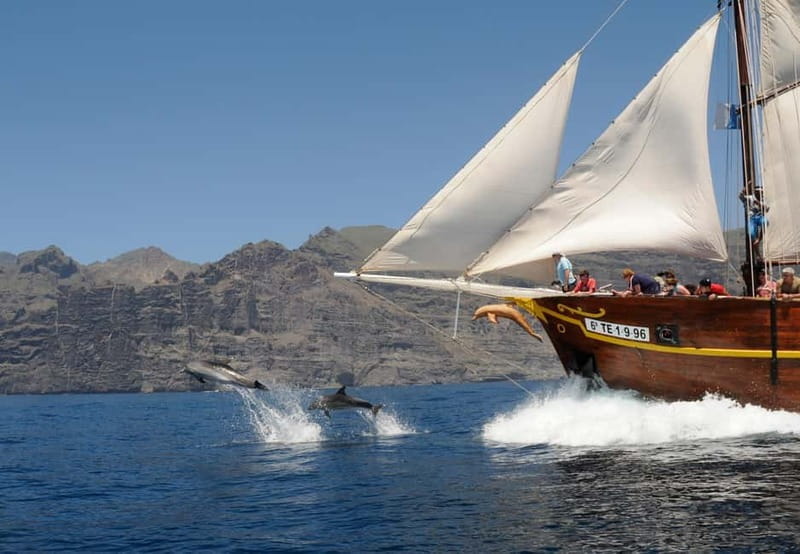 Los Gigantes: Dolphin & Whale Watching Tour on a Pirate Boat - Setting Sail from Los Gigantes: What to Expect