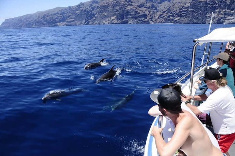Los Gigantes: Whale or dolphin watching and swimming tour in Masca - The Detailed Breakdown of the Experience