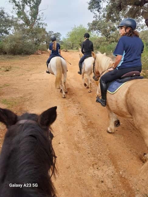 Loulé: Guided Horse Riding in the Hills of Tor - Additional Activities and Family Options