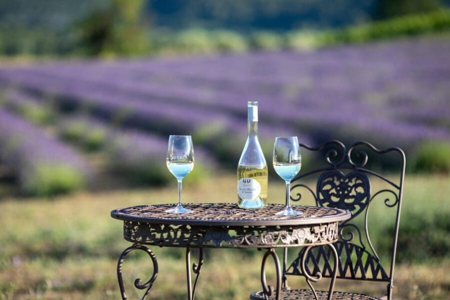 Luberon: Vineyard Tour and Wine Tasting - Who Would Love This Tour?