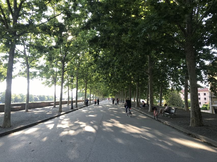 Lucca: City Bike One-Day Rental - Who Should Consider This Experience?