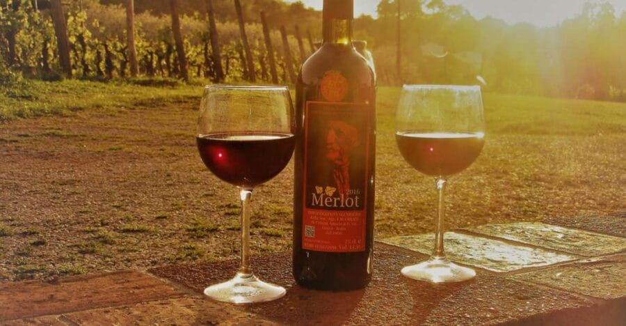 Lucca: Guided E-Bike and Wine Tour - Exploring Lucca’s Historic Walls and Old Town