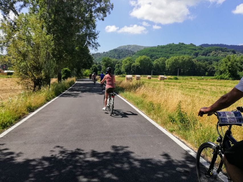 Lucca: Picnic Lunch at a Vineyard by Bike - Discovering Tuscany on Two Wheels: An In-Depth Review