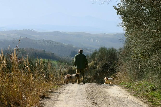 Luck and Patience: truffle hunting in Tuscany - Price and Overall Value