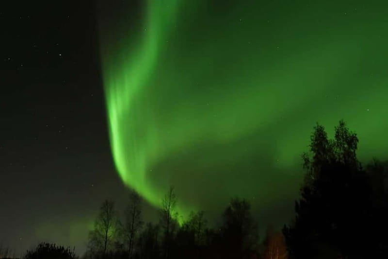 Luleå: Northern Lights Snowshoeing Tour - Who Should Consider This Experience?