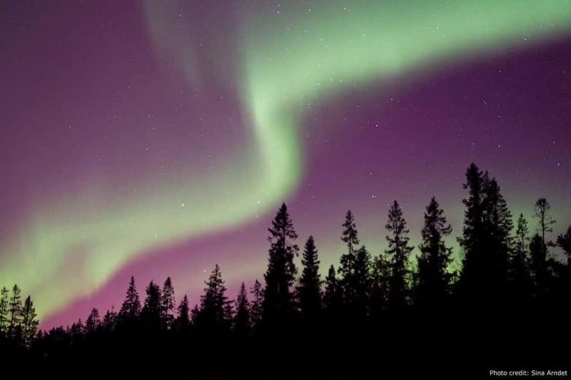 Luleå: Northern Lights Tour by Car with Guide - The Itinerary: What to Expect During Your Evening