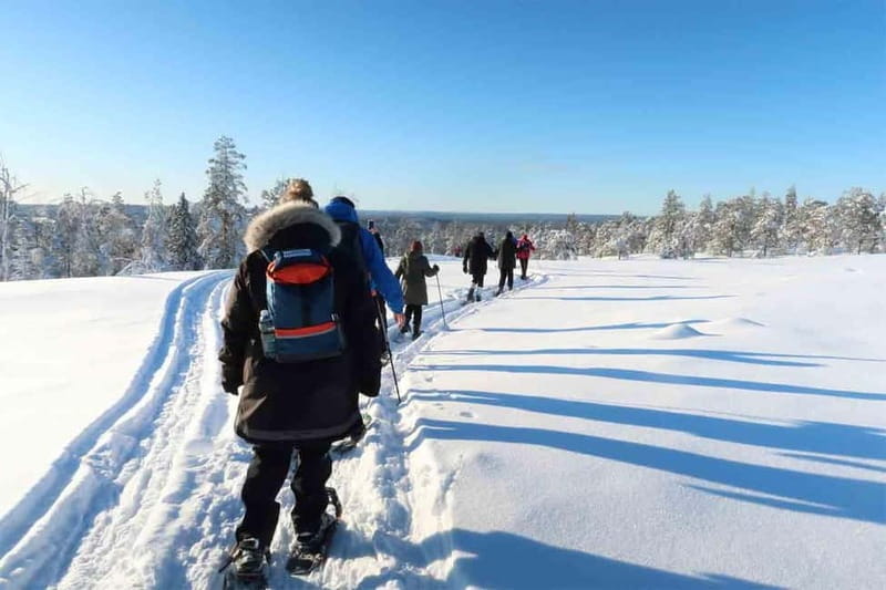 Luleå: snowshoeing in pristine nature with an expert guide! - Why This Tour Offers Real Value