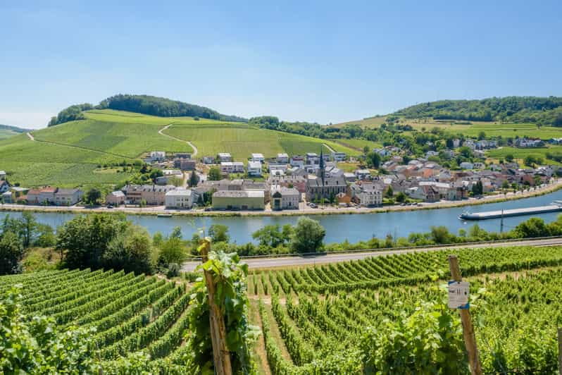 Luxembourg: Moselle Day Trip with Wine Tasting and Boat Tour - Who Will Love This Tour?