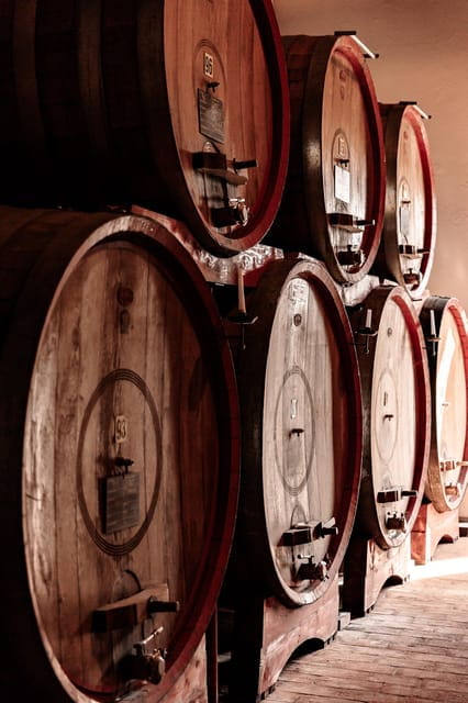 Luxurious Wine Experience: Savor Venetian Best Vineyards - What to Expect: An Inside Look at the Venetian Vineyards