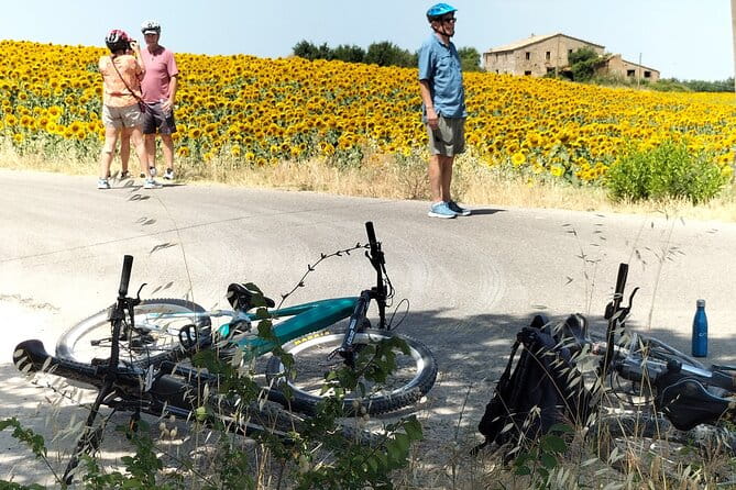 Luxury Eno and Oil experience, by e-bike and more... - Who Will Love This Tour?