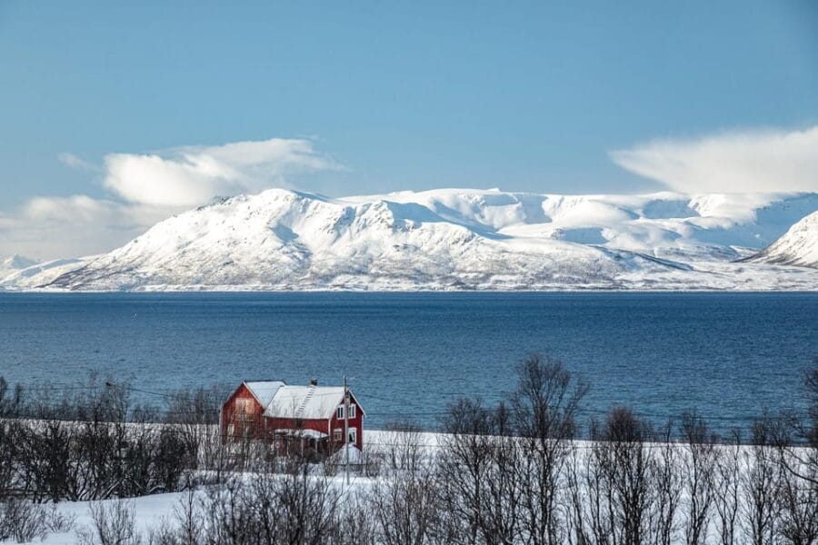 Lyngen: Snowmobile Safari with Lunch in seaside Restaurant - The Experience: From Meeting to Mountain Views