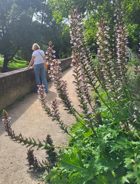 Maastricht Hidden Gems Tour Uncover the Unexpected - Exploring Maastricht Through a Local’s Eyes