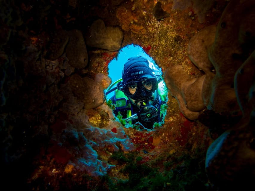 Maddalena Park : Afternoon Dive with Aperitif on Board - What’s Included and What to Budget For