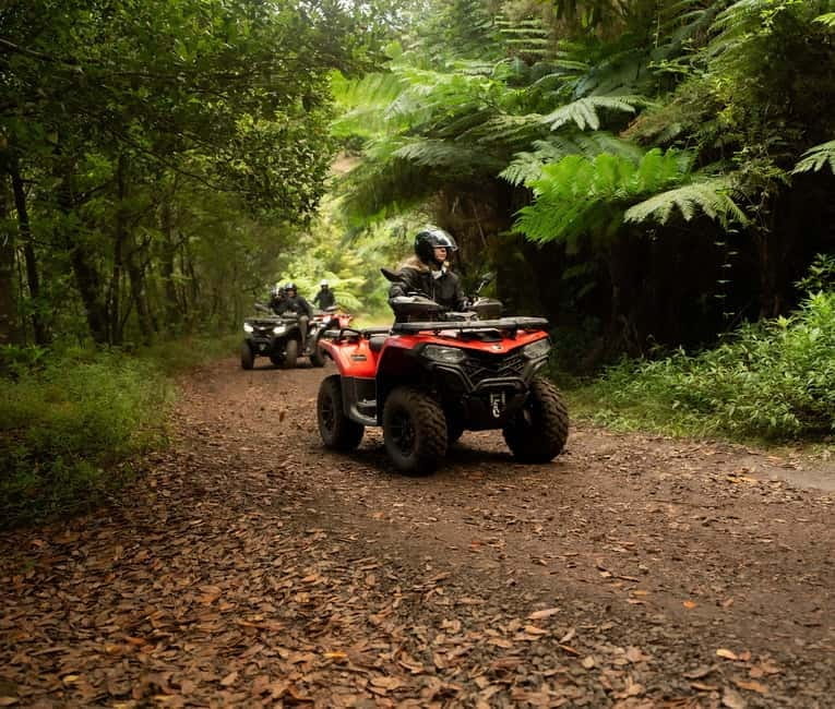 Madeira: Aventura Off-Road de ATV ou Quad - Adrenalina - The Real Madeira Quad Adventure: In-Depth Review