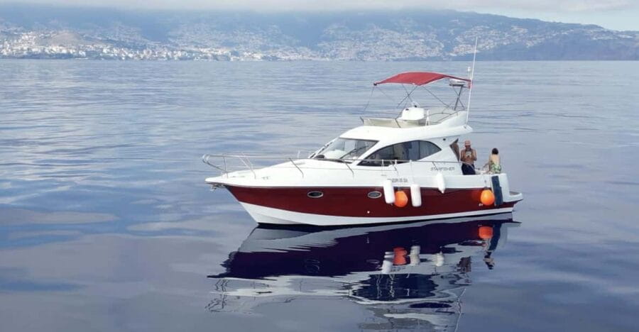 Madeira: Boat trip - Setting Sail in Madeira: What to Expect