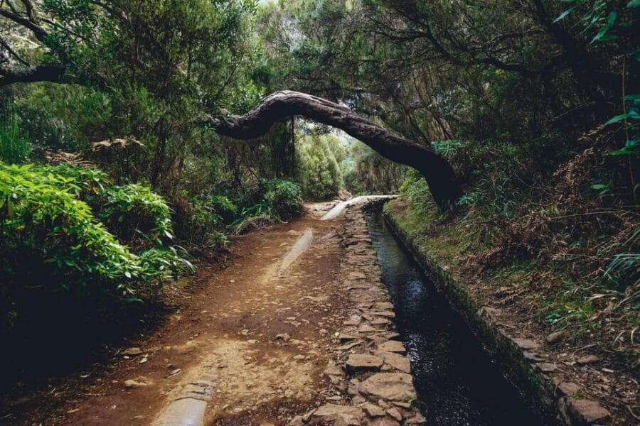 MADEIRA ISLAND WALK - 25 FOUNTAINS LEVADA - What to Expect: Walking into Madeira’s Most Scenic Spots