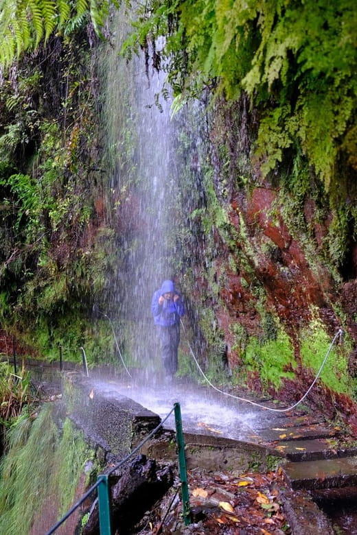 MADEIRA ISLAND WALK - HIDDEN CORNERS KINGS LEVADA - The Sum Up: Who Will Love This Tour?