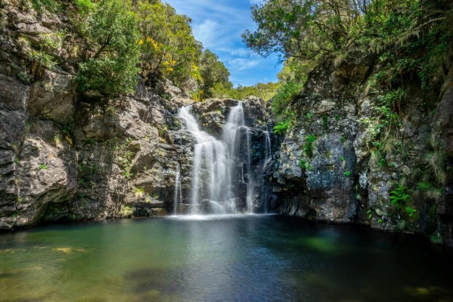 MADEIRA ISLAND WALK - LAKES OF MADEIRA , LEVADA DO ALECRIM - An In-Depth Look at the Lakes of Madeira Walk