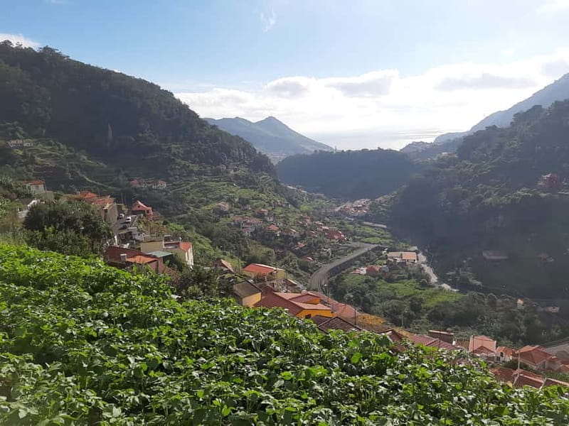 Madeira: Levada dos Maroços Hike - The Trail — What You Can Expect