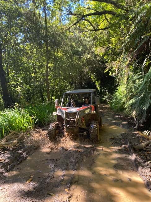 Madeira: Off-Road Buggy Driving Experience - Exploring Madeira’s Natural Side on a Buggy