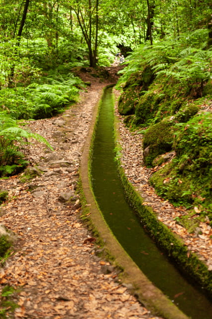 Madeira: PR 18 - Levada do Rei Hike Transfer - The Benefit of a Self-Guided Trail