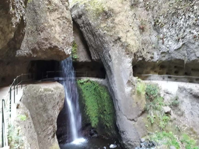 Madeira: Private Half-Day Walking and 4x4 off-road Tour - Key Points / Takeaways