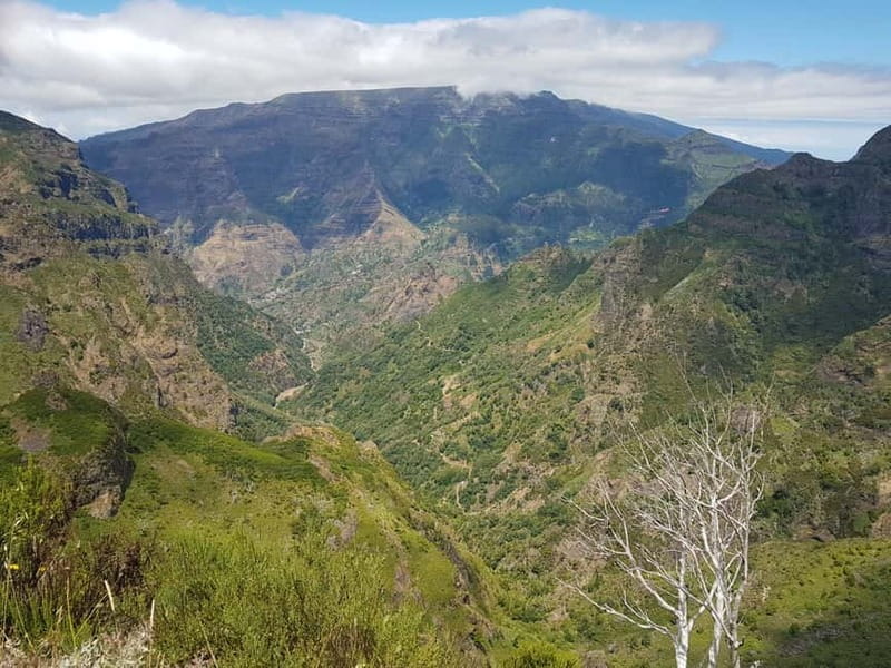 Madeira: Private Laurisilva Tour - Price and Logistics: Is It Worth It?