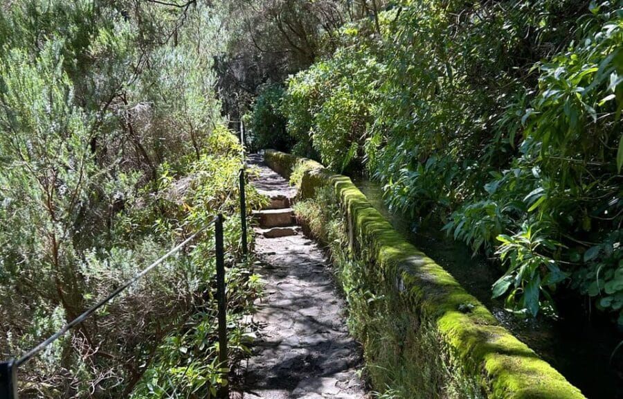Madeira: Private Levada/Hike Experience with a Local Guide - Why Choose a Private Guided Walk?
