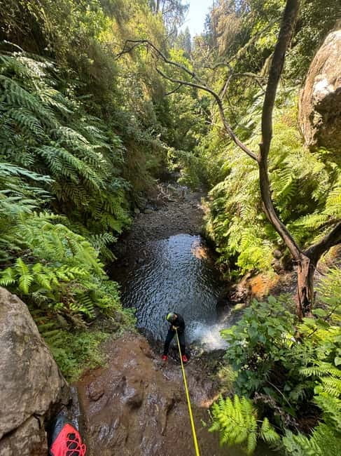 Madeira Short Canyoning For Beginners Rochão Level 1 - FAQs
