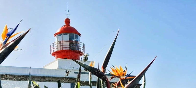 Madeira: South Madeira Private 4x4 Tour with Pickup - Exploring Madeira’s Dazzling South Coast