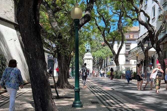 Madeira Special Private Tuk-Tuk City Tour Experience by MadTuk - What to Expect from Your Guide