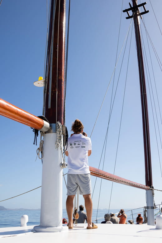 Madeira : Whales and Dolphins wooden boat excursion - An In-Depth Look at the Madeira Whales and Dolphins Wooden Boat Tour