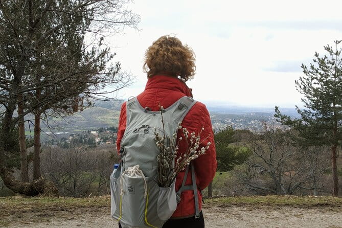 Madrid Mountains Free Walking Tour - Exploring Madrid’s Mountain Landscape: A Deep Dive