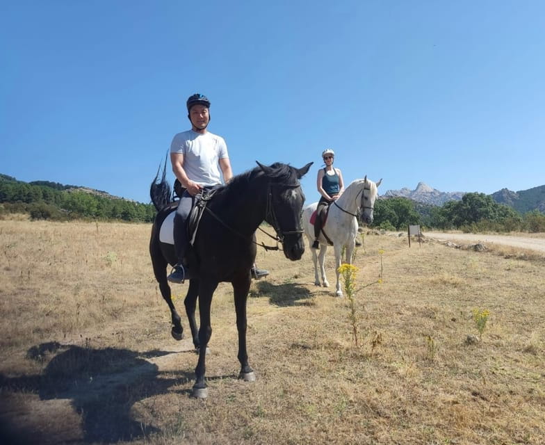Madrid: Private Horseback Riding in Pedriza NP & Transport - FAQ