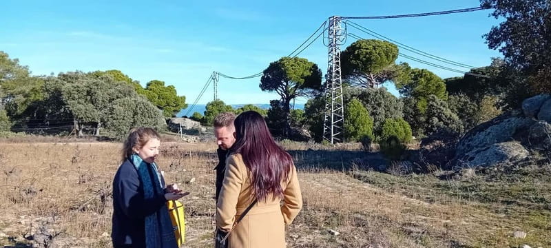 Madrid Wine Tour: Visit Two Wineries with Tastings - Who Will Love This Tour?