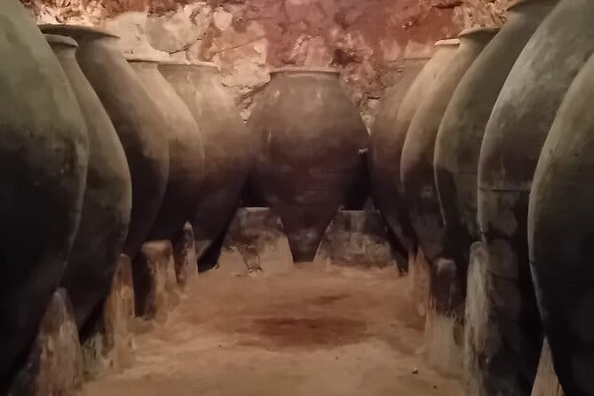 Madrid Winery Tour with Tasting & Sommelier Guide - Logistics: Comfort and Convenience