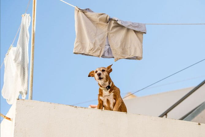 Mafra and Queluz Palaces Private Tour with Tickets - FAQ