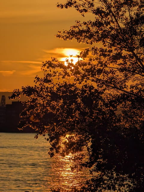 Mainz: guided evening tour of the Rhine embankment/old town in German and English - FAQs