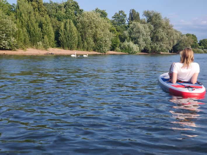 Mainz: Stand Up Paddling Tour on the Rhine River - Getting to the Tour: Location and Logistics