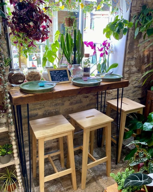 Make Your Own Terrarium in a houseplant paradise - Who This Experience Is Best For