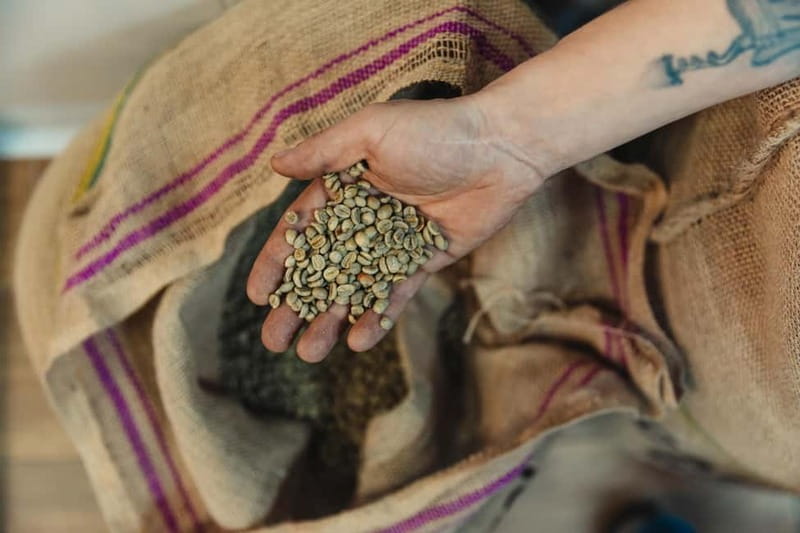 Malaga Coffee Tour & City Tour - with Spanish Tapas & Drinks - Specialty Coffee: A True Highlight