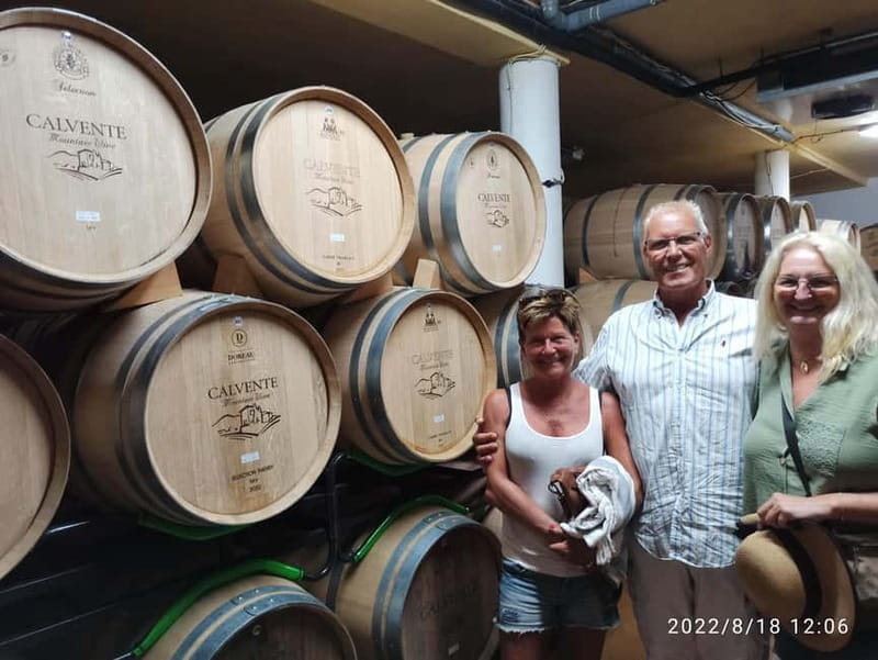 Malaga & Granada: Wine Tasting and Tapas with Resort Pickup - Five Wines and Tapas: A Flavorful Journey